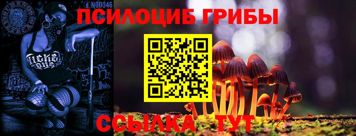 как найти наркотики  Вход с VPN  Невинномысск  Галлюциногенные грибы мицелий 