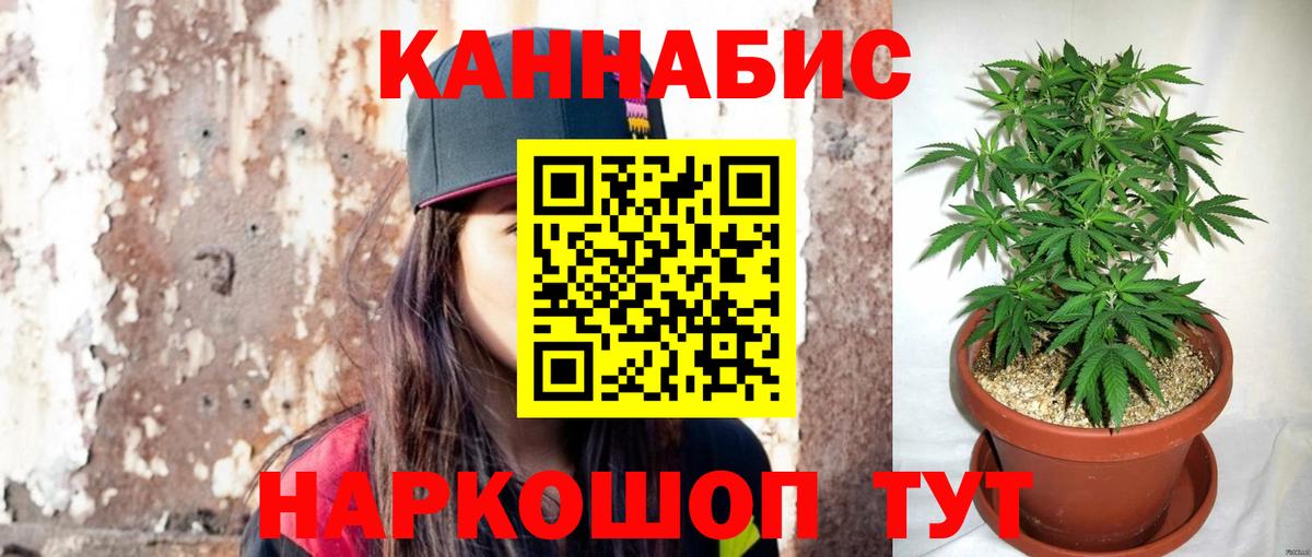 Канабис AK-47  Бошки марихуана планчик  Вход с VPN  Шишки марихуана гибрид  Невинномысск 